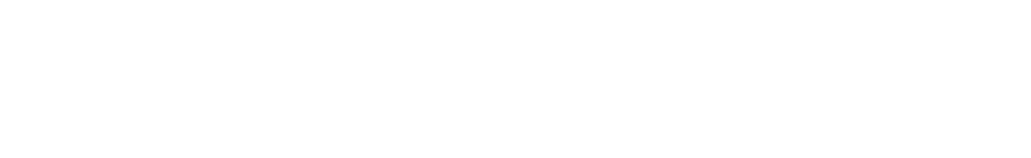Leaper One